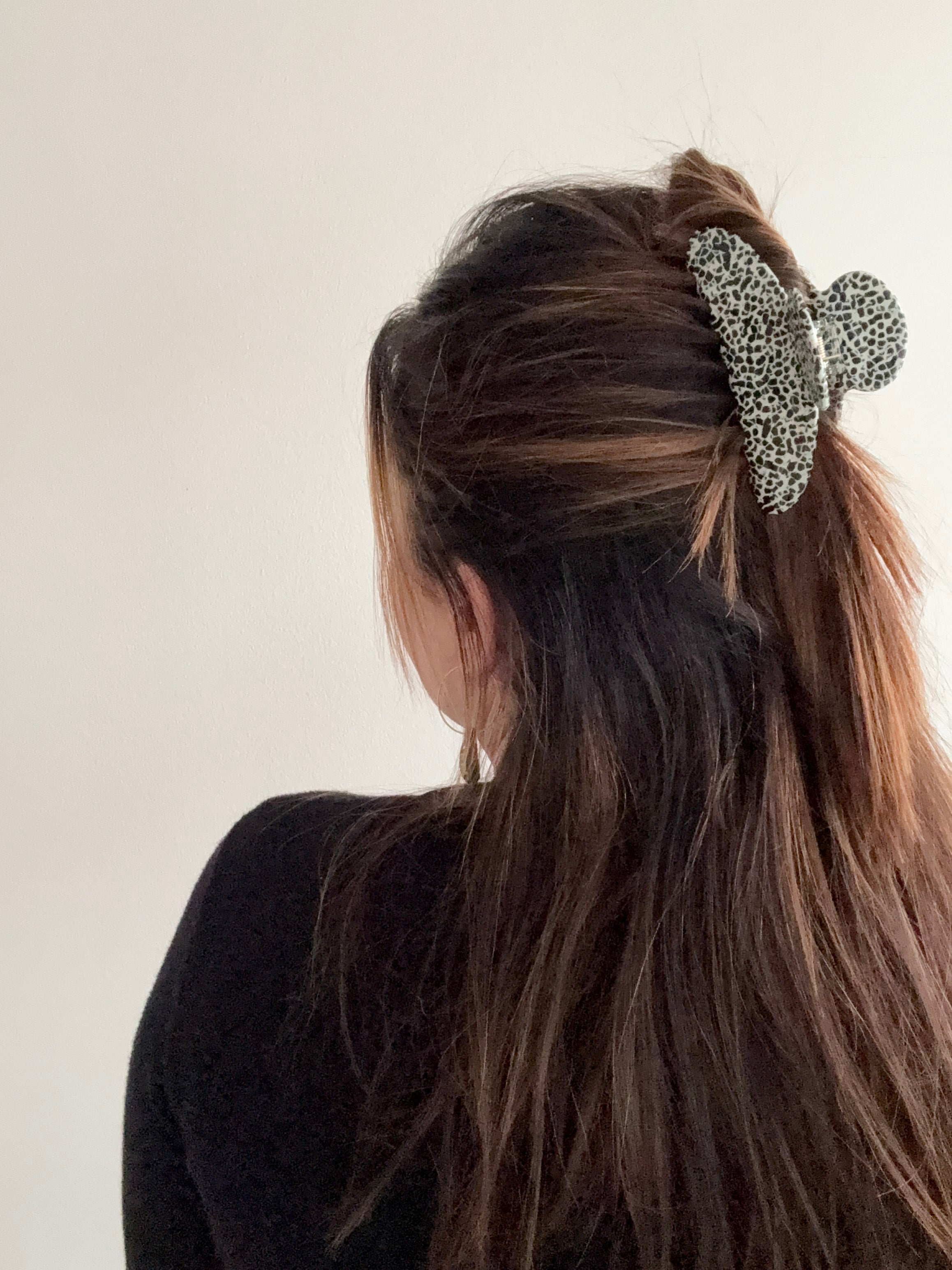 Dalmatiner | Haarklammer