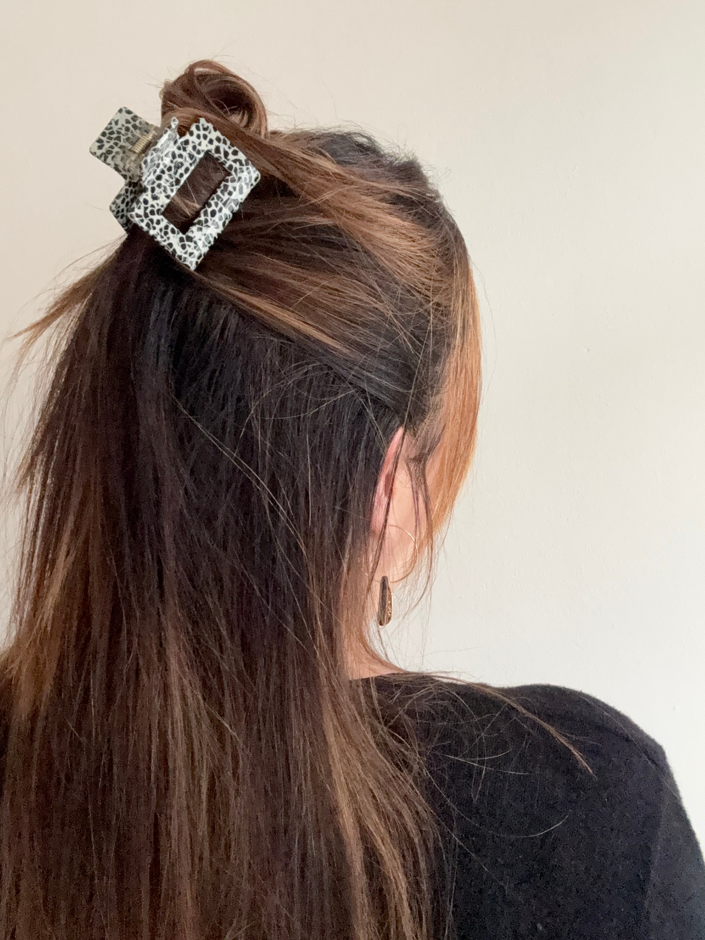 Dalmatiner | Haarklammer