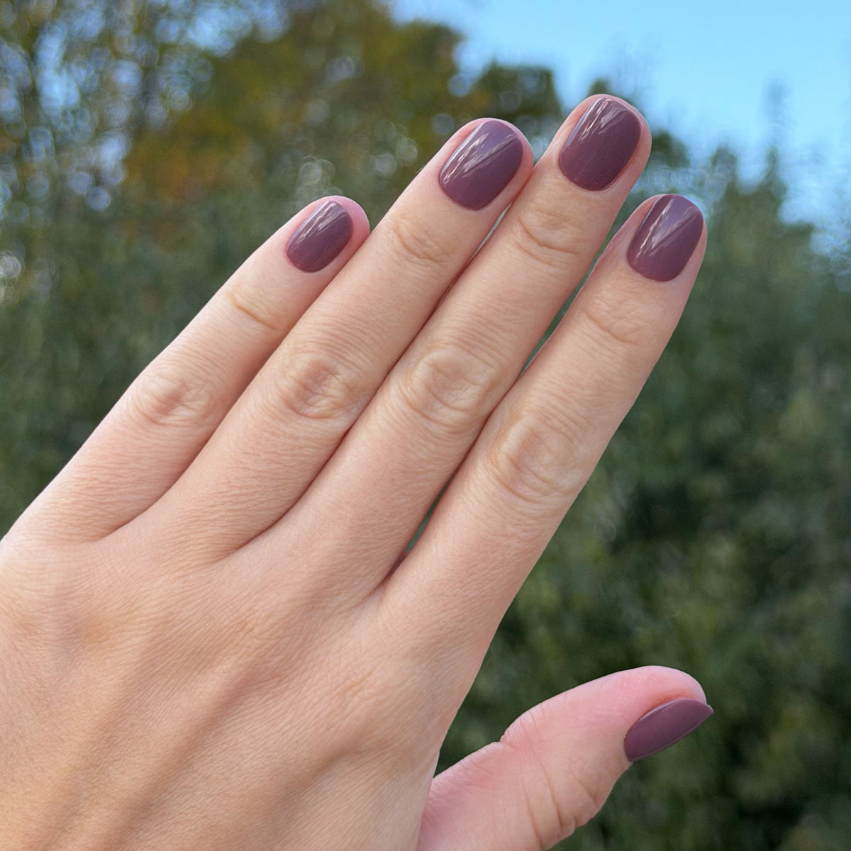 'Cozy Mauve' Soft Gel Press Ons | Short Round
