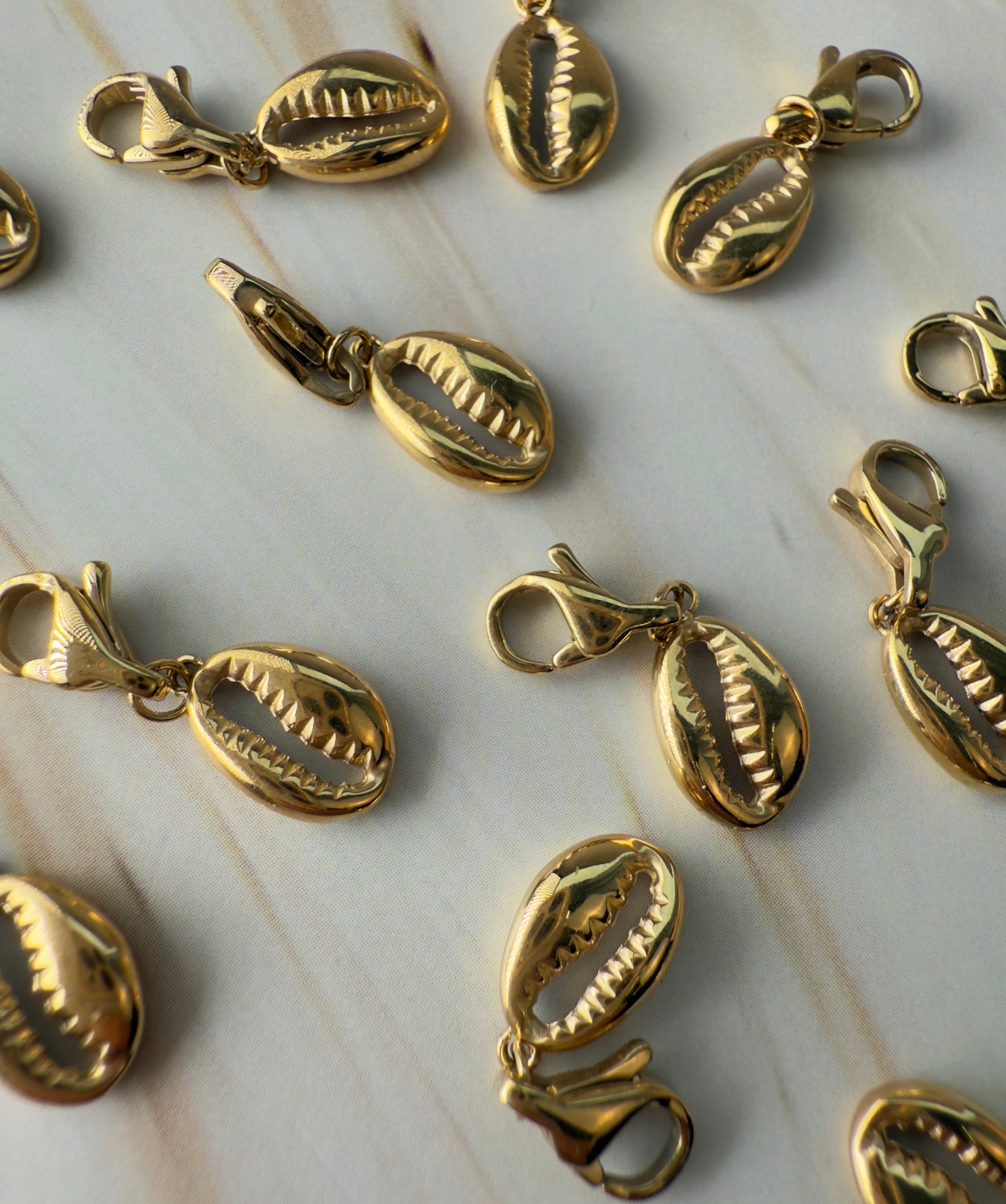 Muschel | Charm