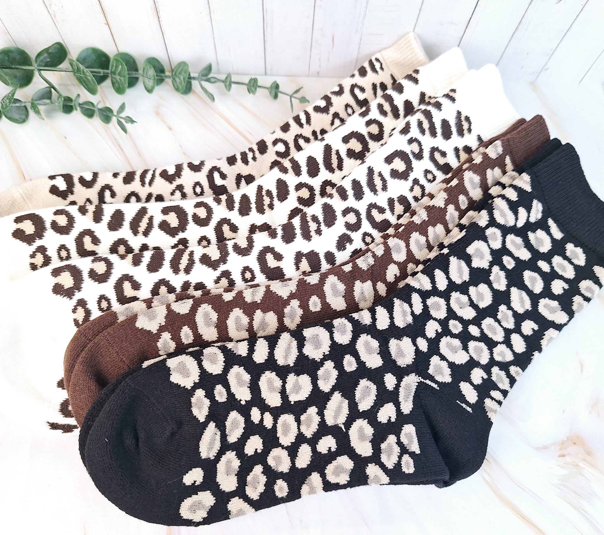 Socken 'Leo' verschied. Farben | Socken